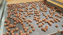 Maszyna Formierki masarskie i spożywcze Maszyna do formowania kulek i cylindrów Vemag BallControl XXL 6
