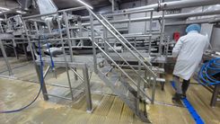 Maszyna Linie produkcyjne Linia do cięcia wodnego - Hydrocutter do cięcia frytek 30