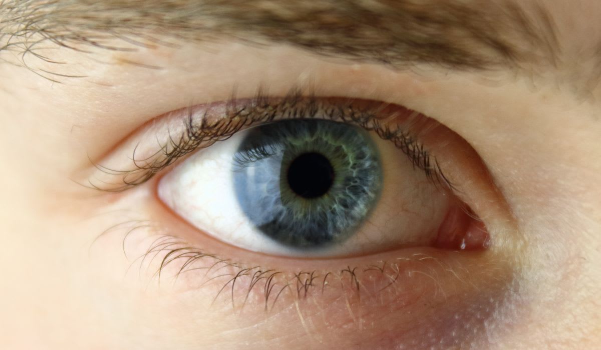 eye movement