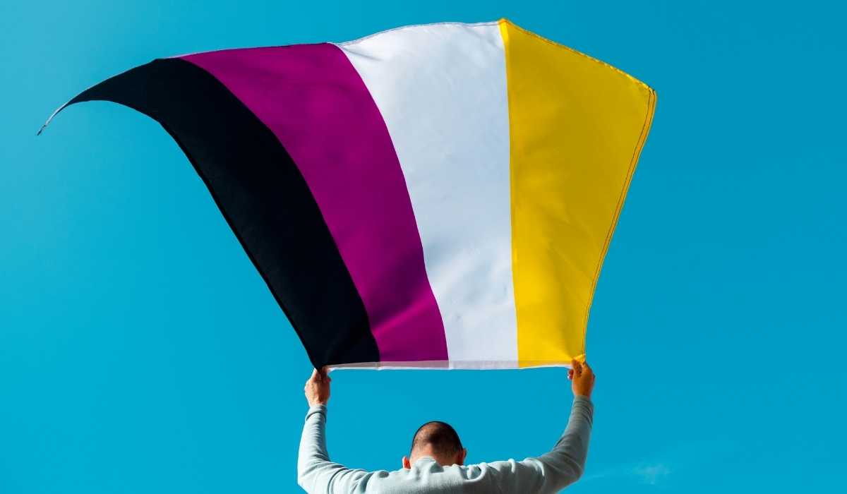 nonbinary pride flag