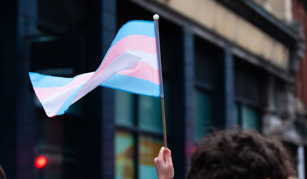 Handheld Transgender Pride Flag at Bristol Trans Rights March