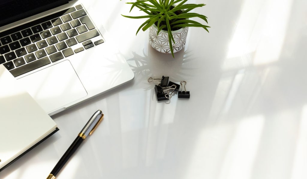 A modern workspace with a laptop, notebook, pen, decorative plant, and binder clips on a white surface.