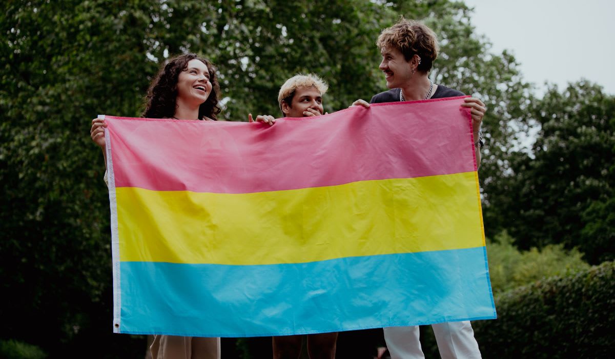 Pansexuality visual data 4