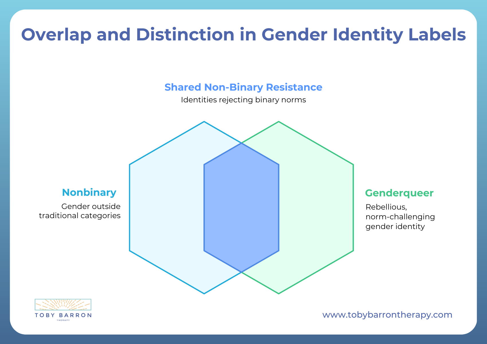 Venn diagram showing overlap between Nonbinary and Genderqueer identities, highlighting the shared non-binary resistance and illustrating the difference between genderqueer and nonbinary experiences.
