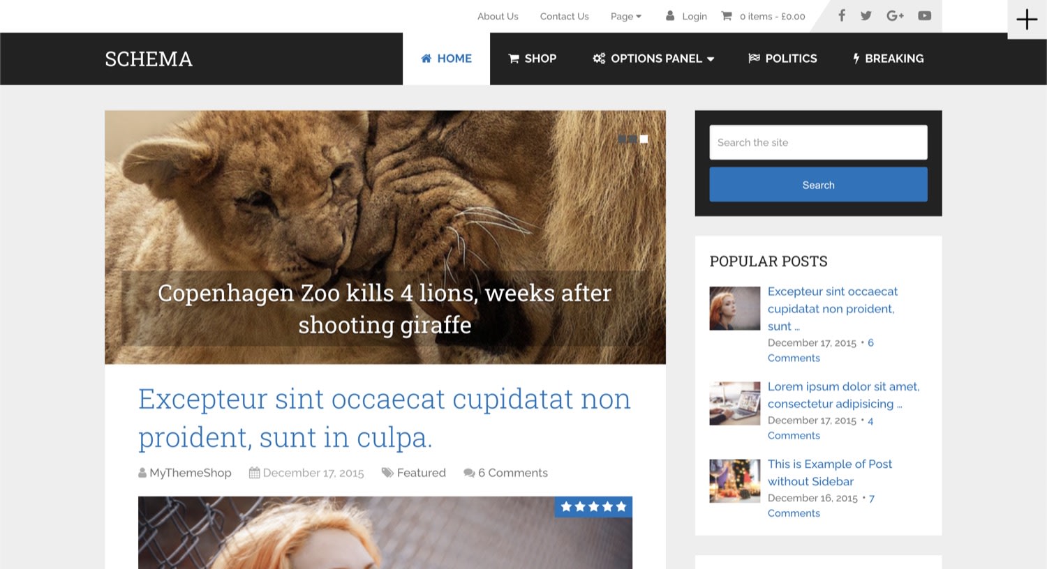 Schema WordPress theme