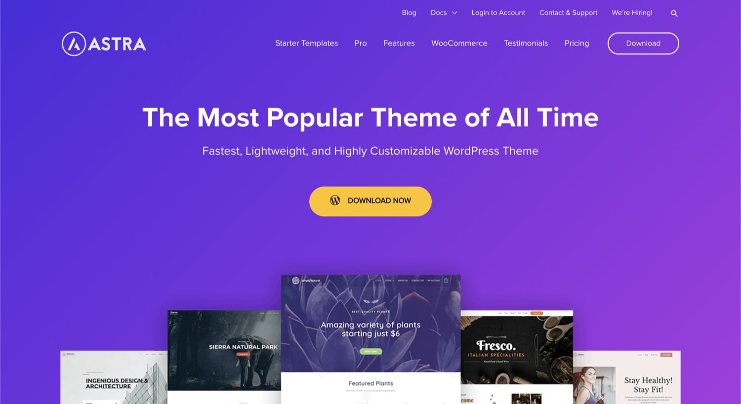 Astra WordPress theme