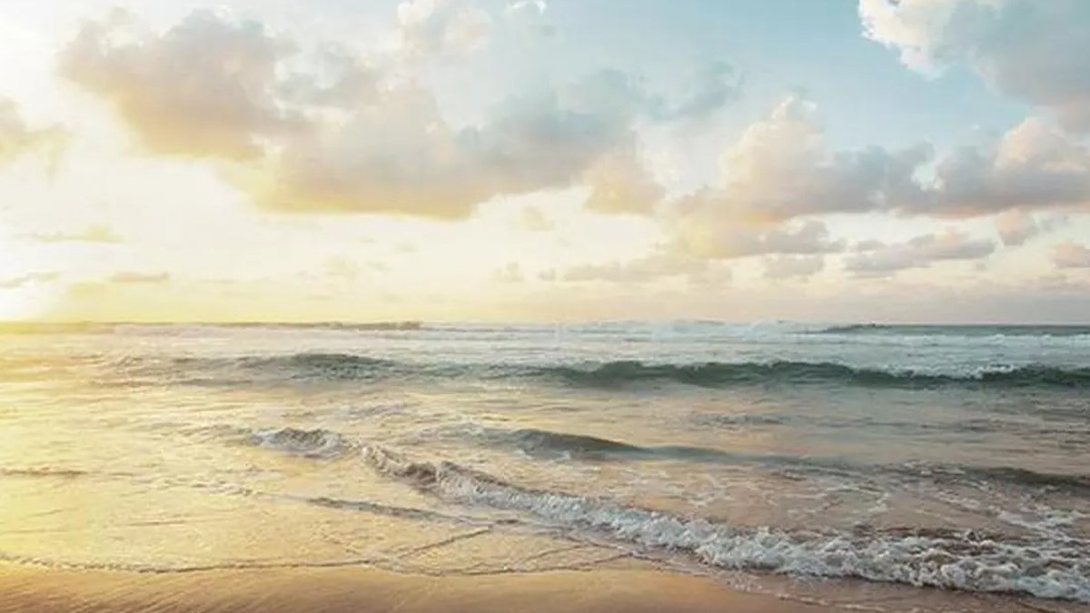 Odisha reviews ARISE project for coastal resilience Odisha reviews ARISE project for coastal resilience - arise project odisha