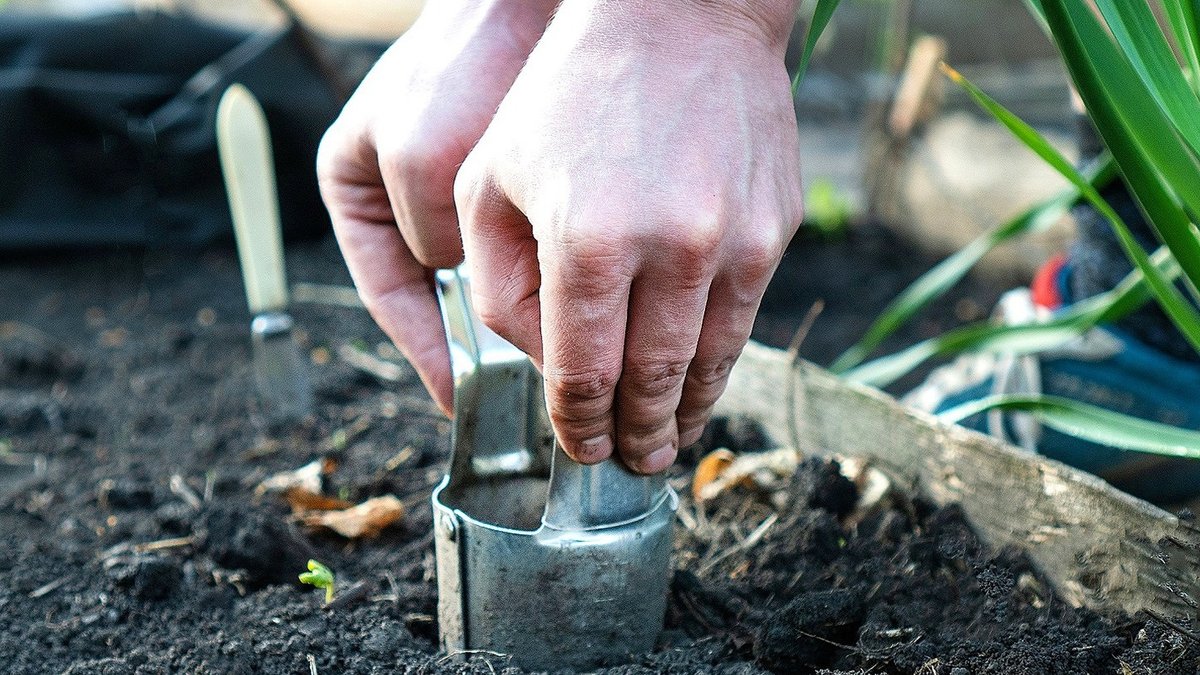Sharpen garden tools with a common item