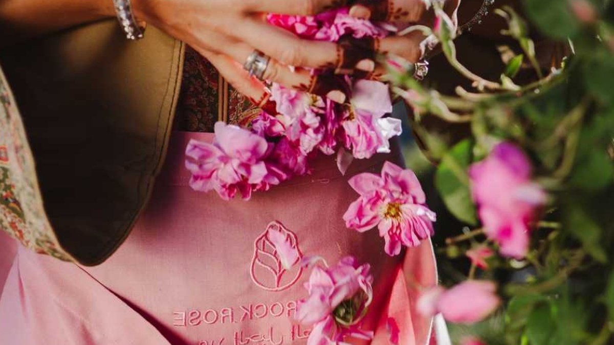 Amouage Launches Supply Chain for Omani Rose - omani rose