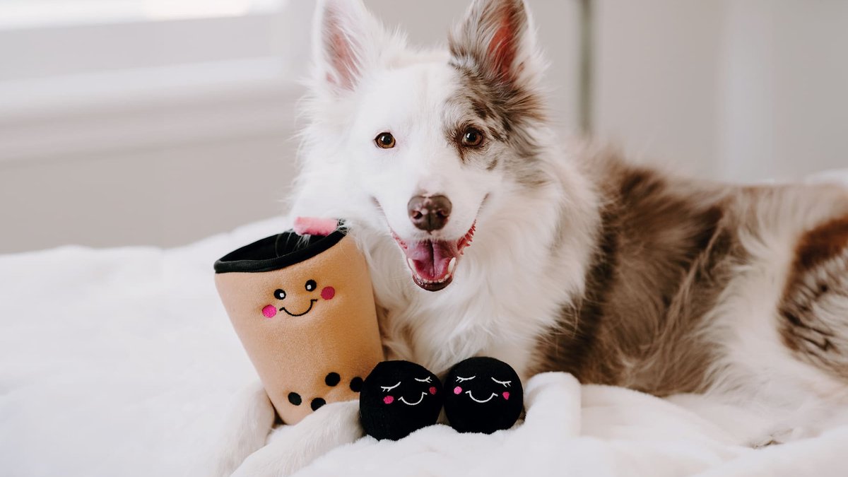 Best Dog Toys for Every Play Style - dog toys