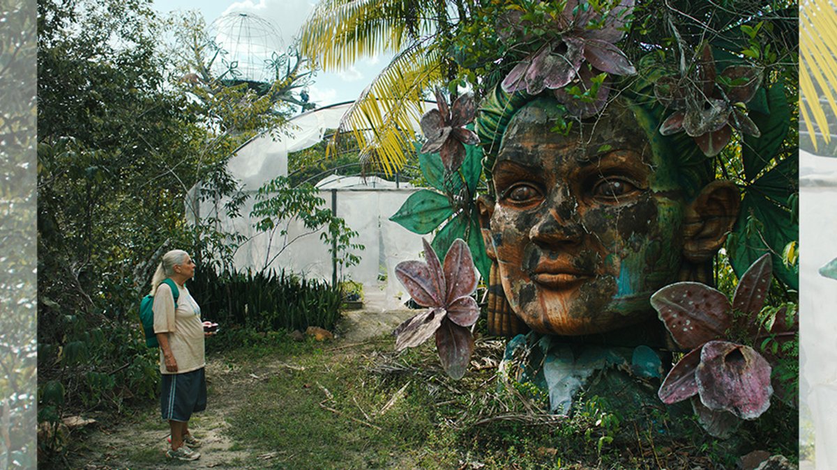 Law Journal Reviews Blue Trail and Birthday Trip Law Journal Reviews Blue Trail and Birthday Trip - blue trail film