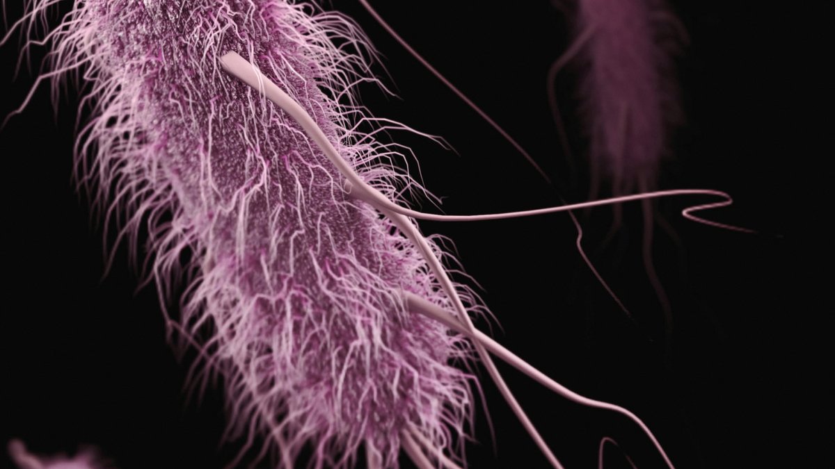 Council Approves Post-Pandemic Support Package Council Approves Post-Pandemic Support Package - food recalls