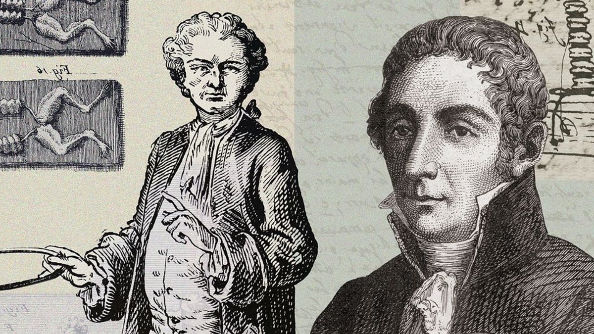 Dead Frogs Powered First Battery - galvani's frog experiment
