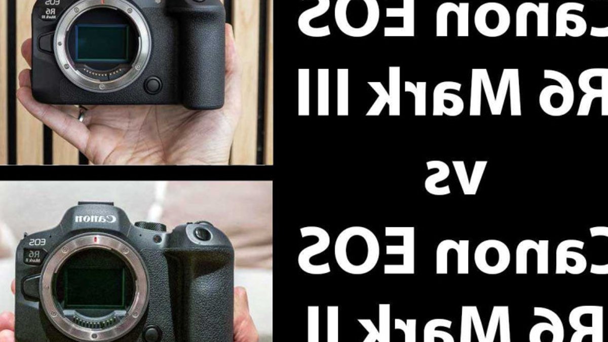Canon R6 Mark III Tops Mark II - canon r6