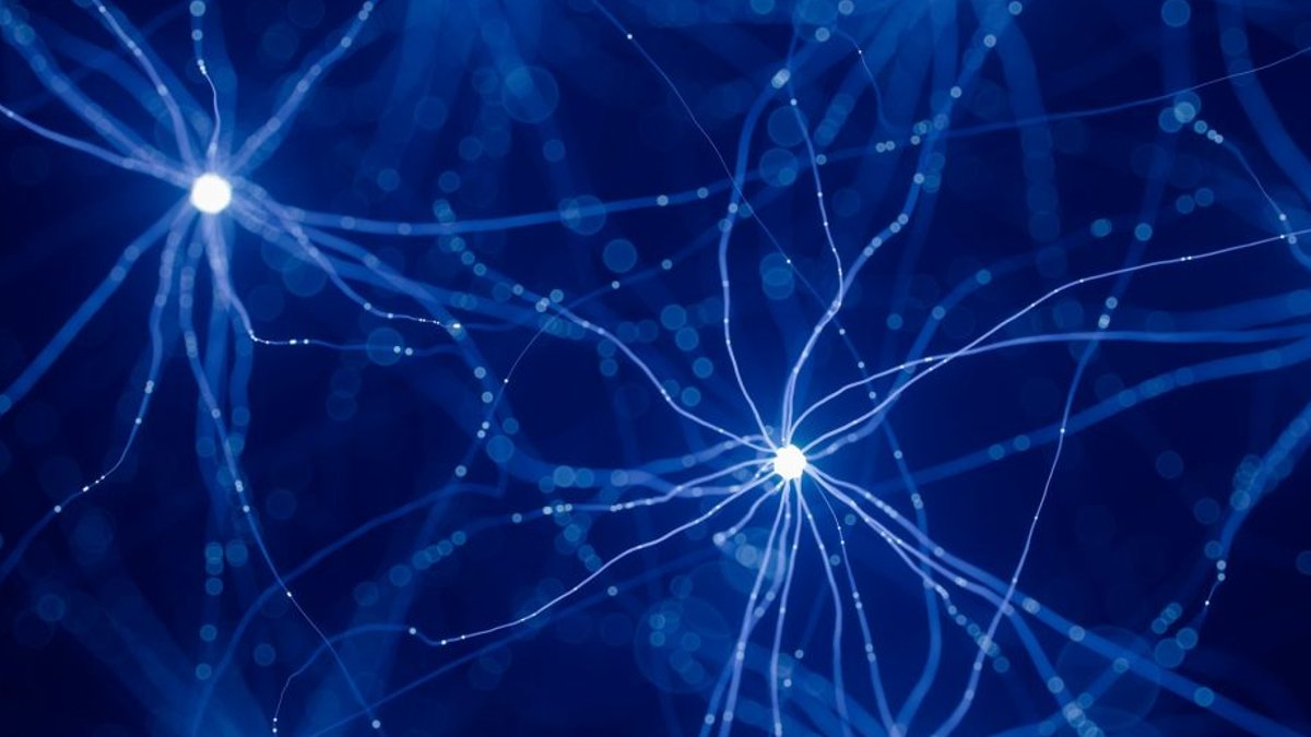 Organizations need AI fluency, not just adoption Organizations need AI fluency, not just adoption - ai fluency