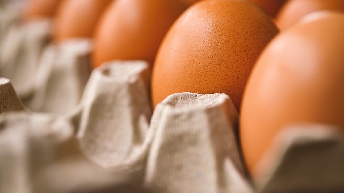 Kenya's Loan Rate Decision Tied to Egg Prices - kenya loan rates