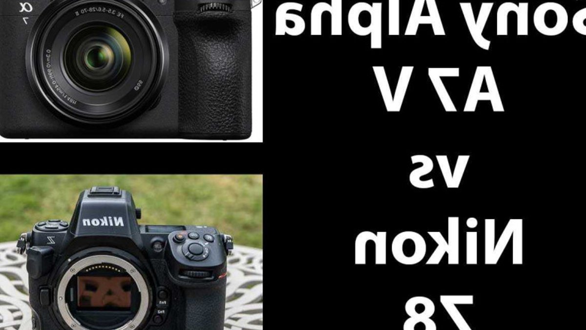 Sony A7 V Outshines Nikon Z8 in Comparison - sony a7 iv vs nikon z8