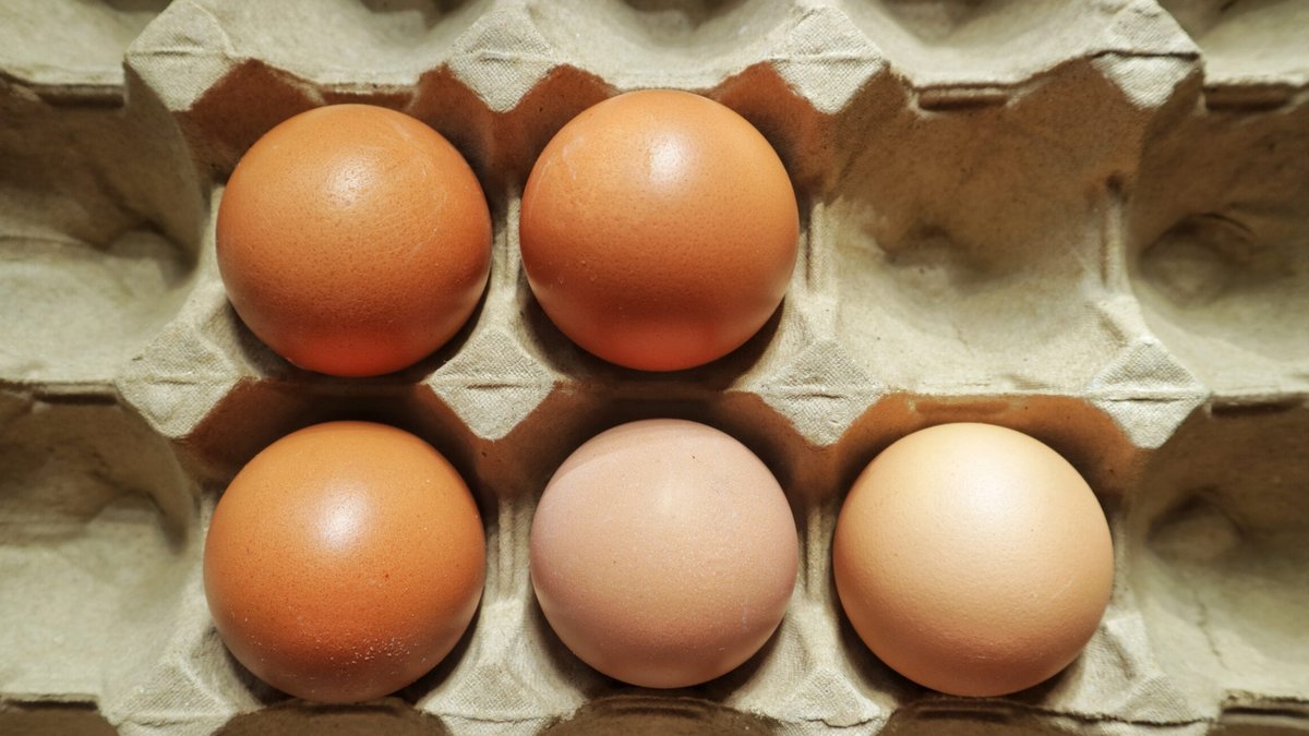 UPC Court of Appeal Ends Egg Packaging Dispute - egg packaging