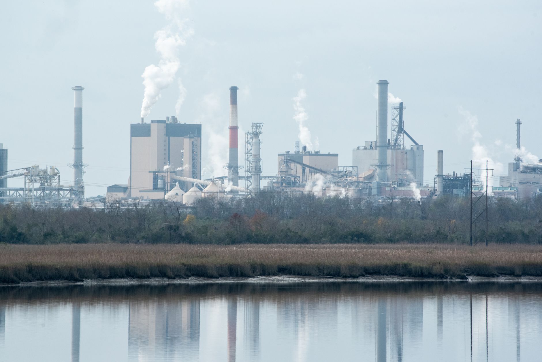 Genentech and Roche Open Plant in North Carolina