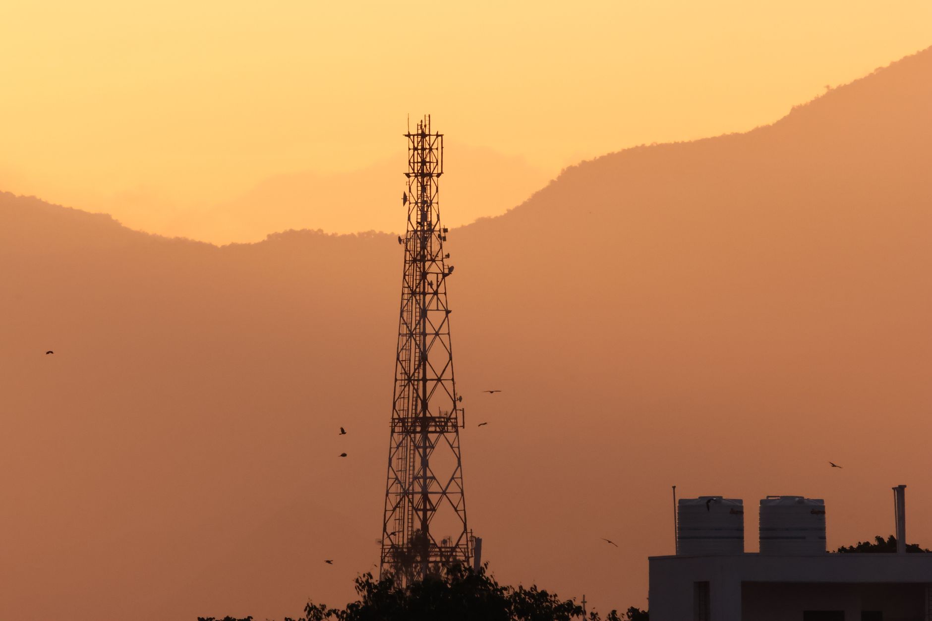 Convenience To Online BSNL Recharge: Facilitates Freedom From Monotonous Card & Scratching