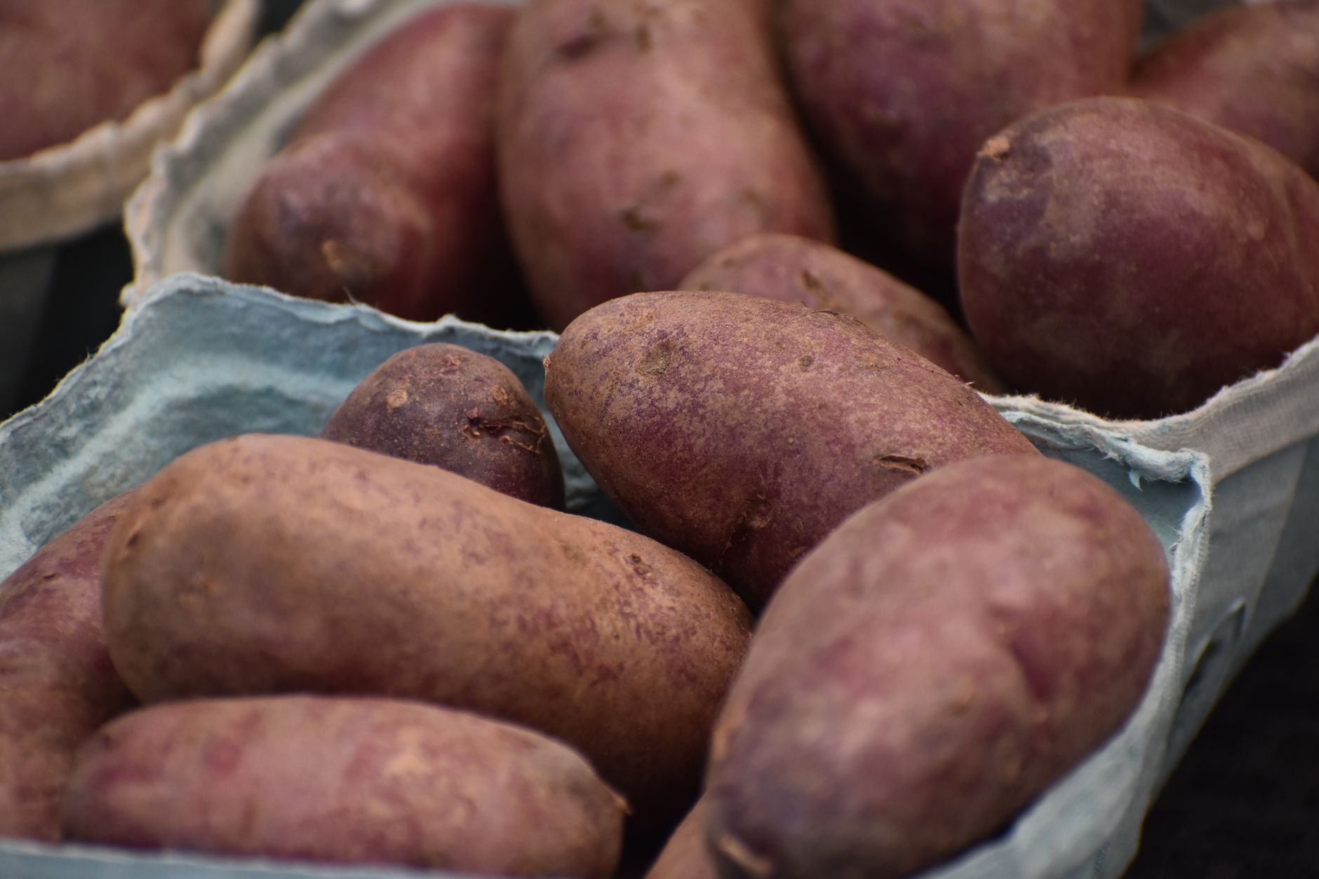 5 Benefits of Sweet Potatoes for Weight Loss