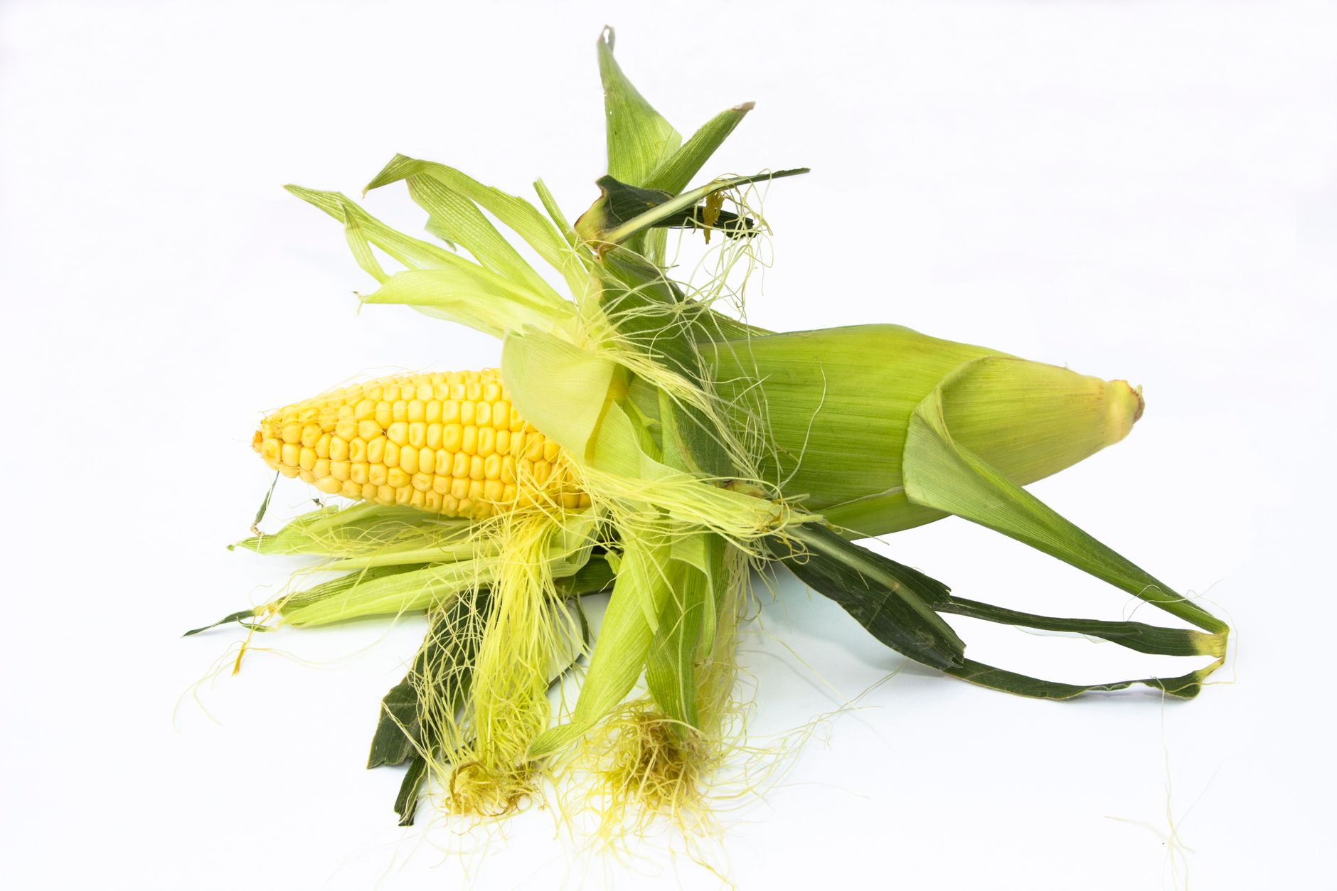 Corn based alternative to food coloring developed