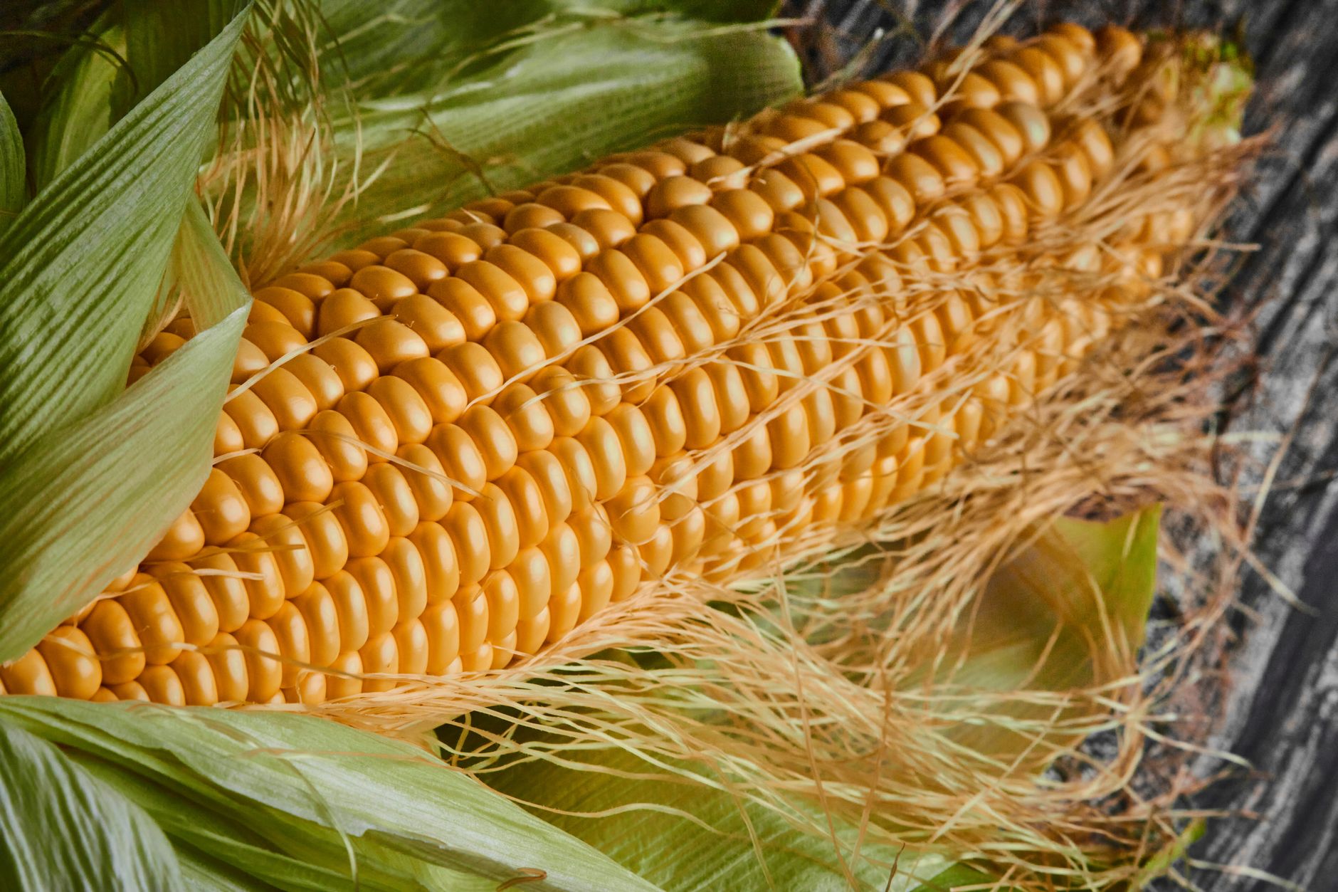 Team develops corn-based natural food dye alternative