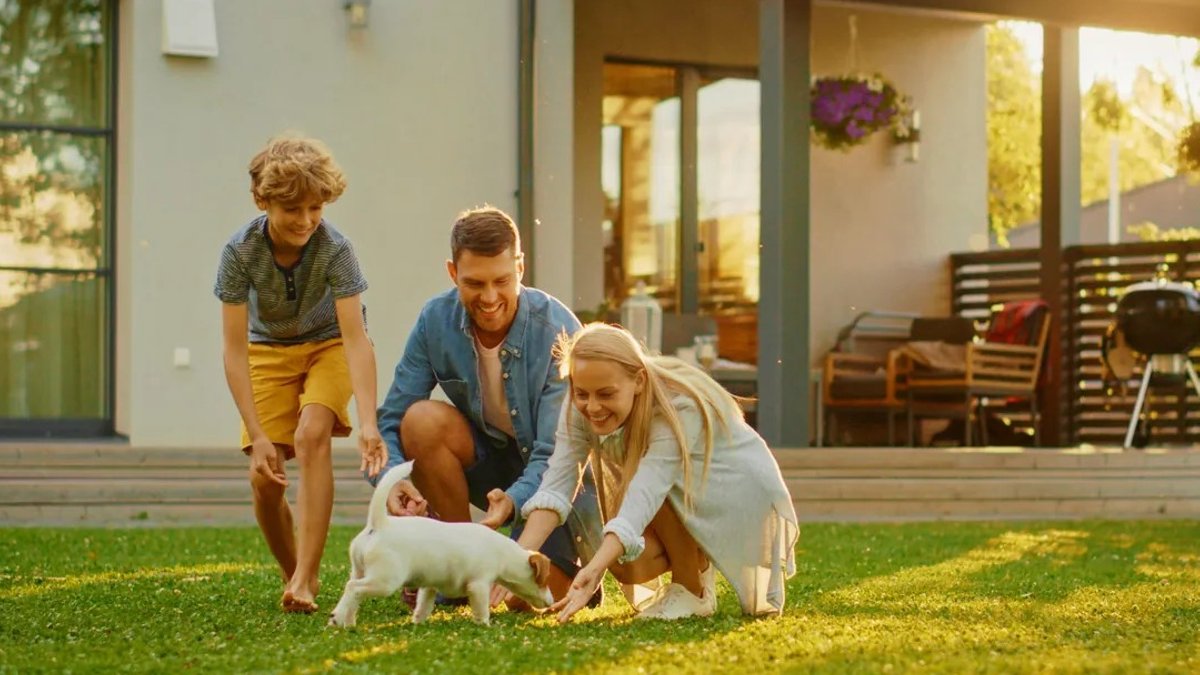 Humans turn pet food toward science-backed ingredients Humans turn pet food toward science-backed ingredients - pet food science