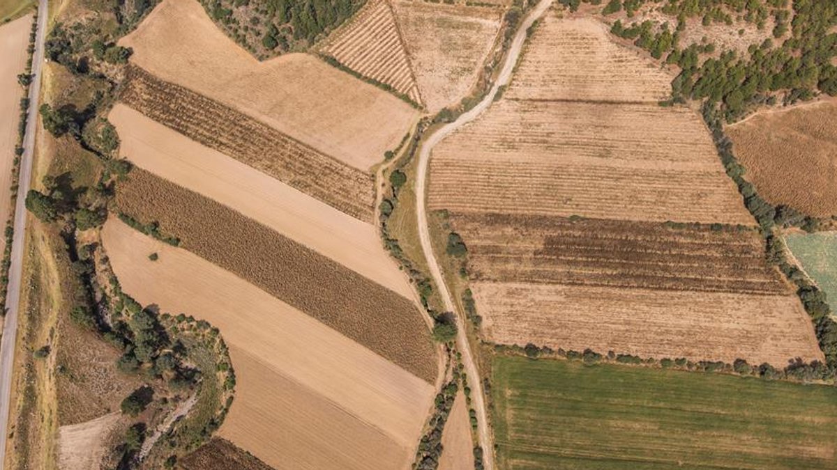 UK Insurance Struggles to Keep Pace with Drought Risk - drought risk