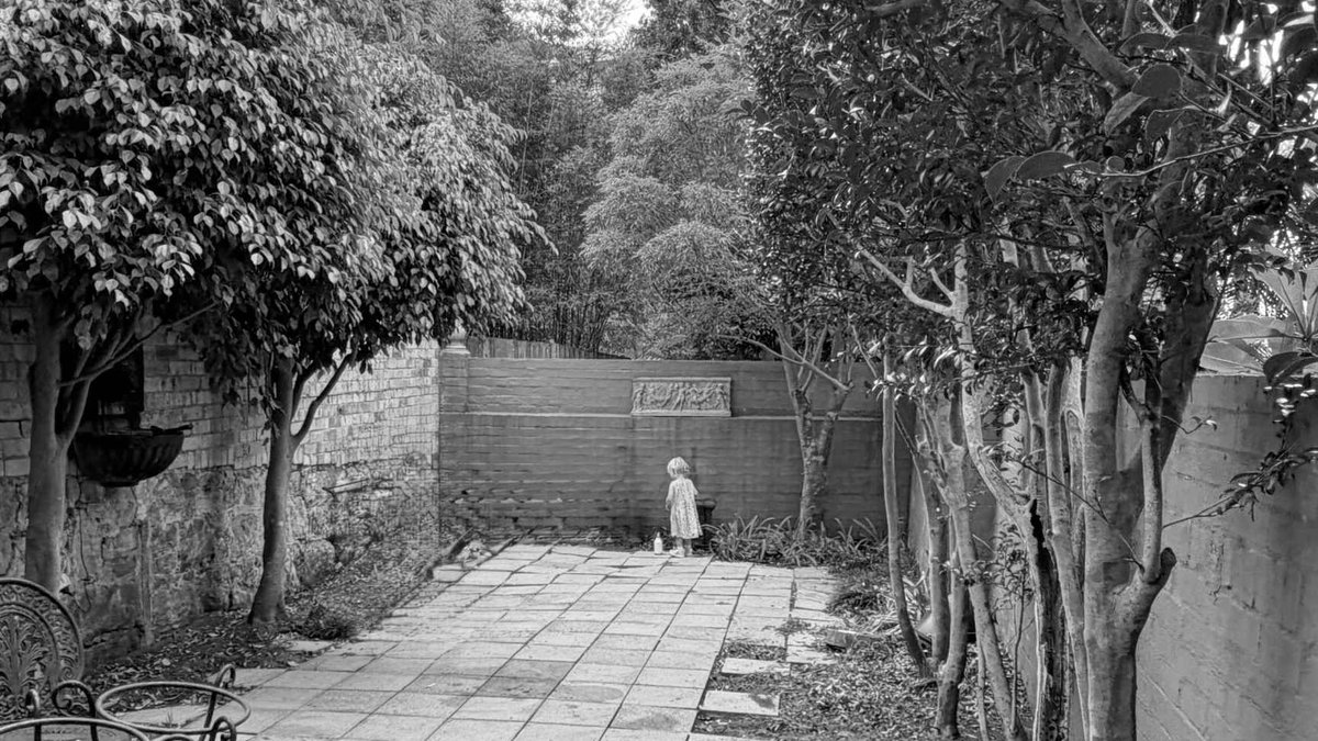Sydney Courtyard Revived with Curves, Reclaimed Materials, Greenery BEFORE - Discover how Noble Architecture transformed an awkward Sydney courtyard into a welcoming outdoor space with a comple
