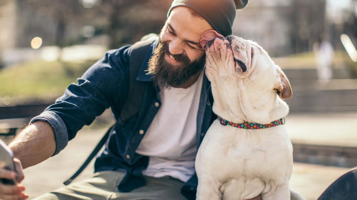 Husky Prime Cuts launches R3,000 dog hamper giveaway