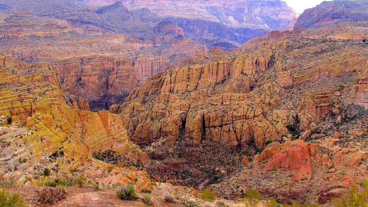 Judge weighs Forest Service’s power over mine-linked groundwater harm A stunning view of desert foliage in the forest with canyonlands stretching into the distance. Arizona, Tonto National Forest