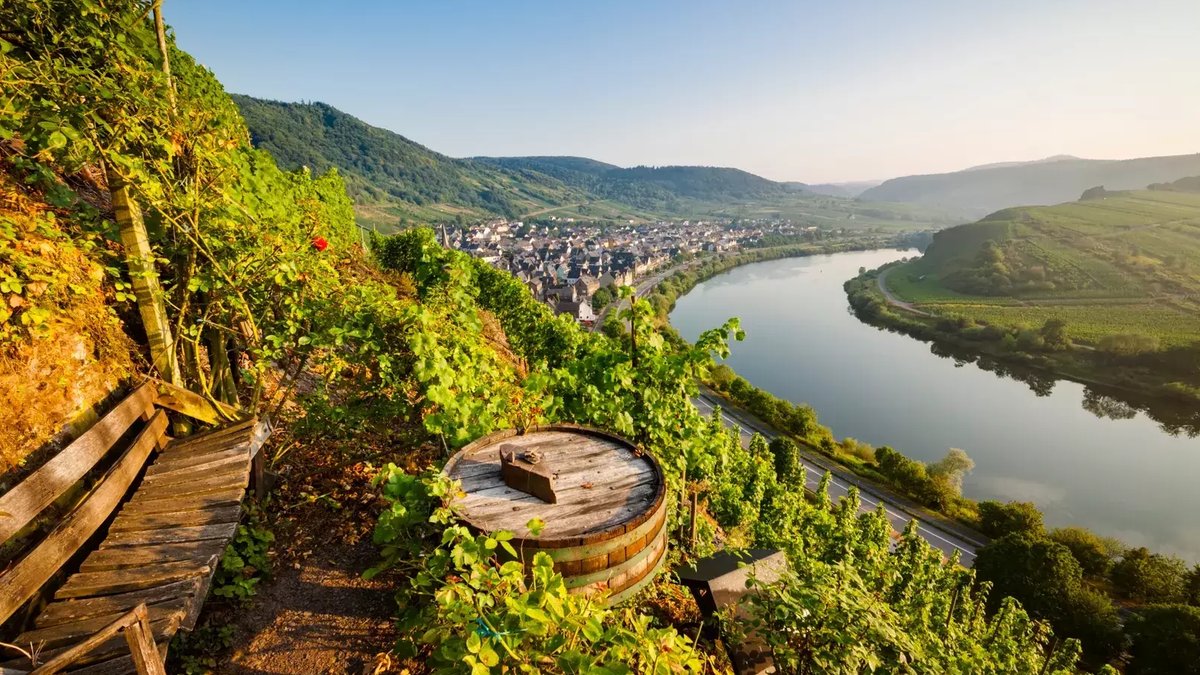 Germany sees surge in foreign visitors - foreign visitors
