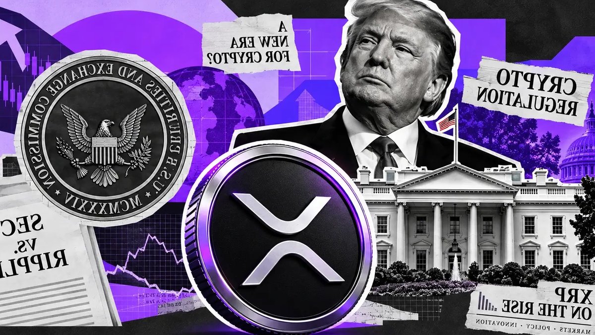 XRP price falls after Senate vote XRP price falls after Senate vote - xrp price