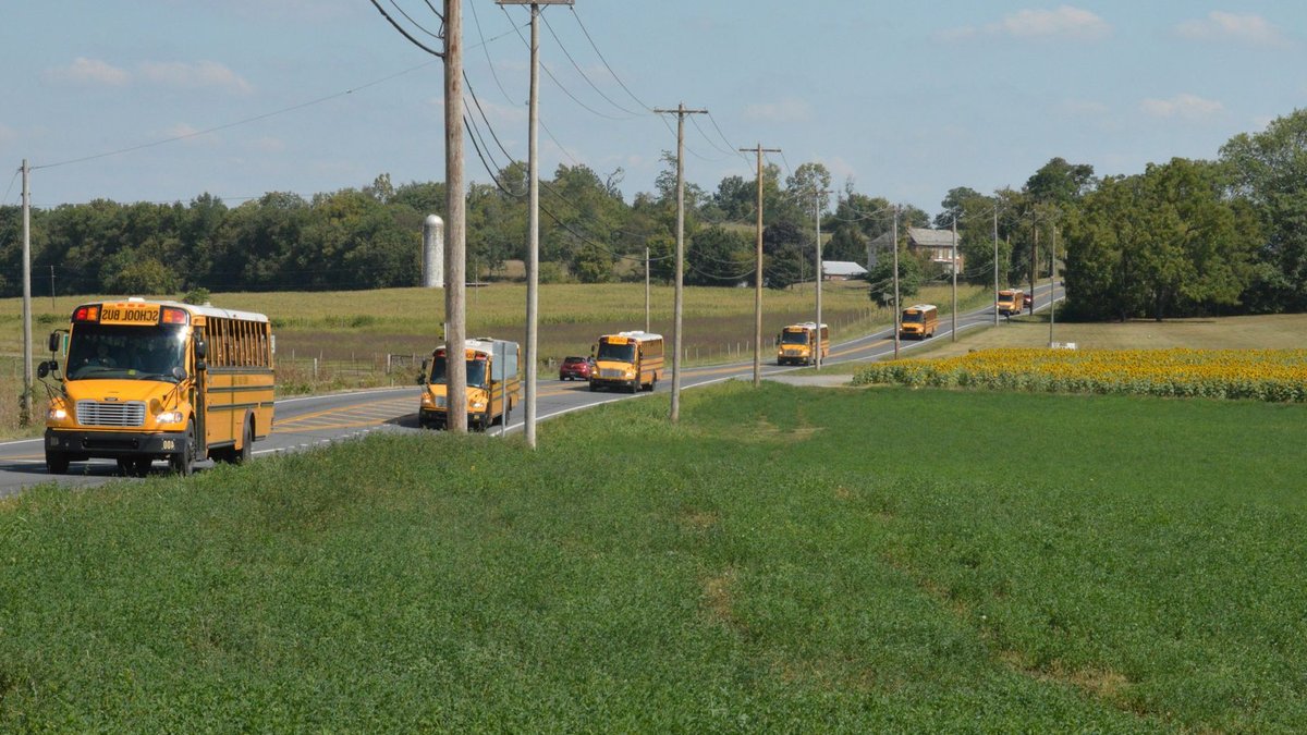 Arizona district boosts school lunch participation with scratch-cooked meals A line of yellow school buses travels down a rural country road under a clear blue sky.