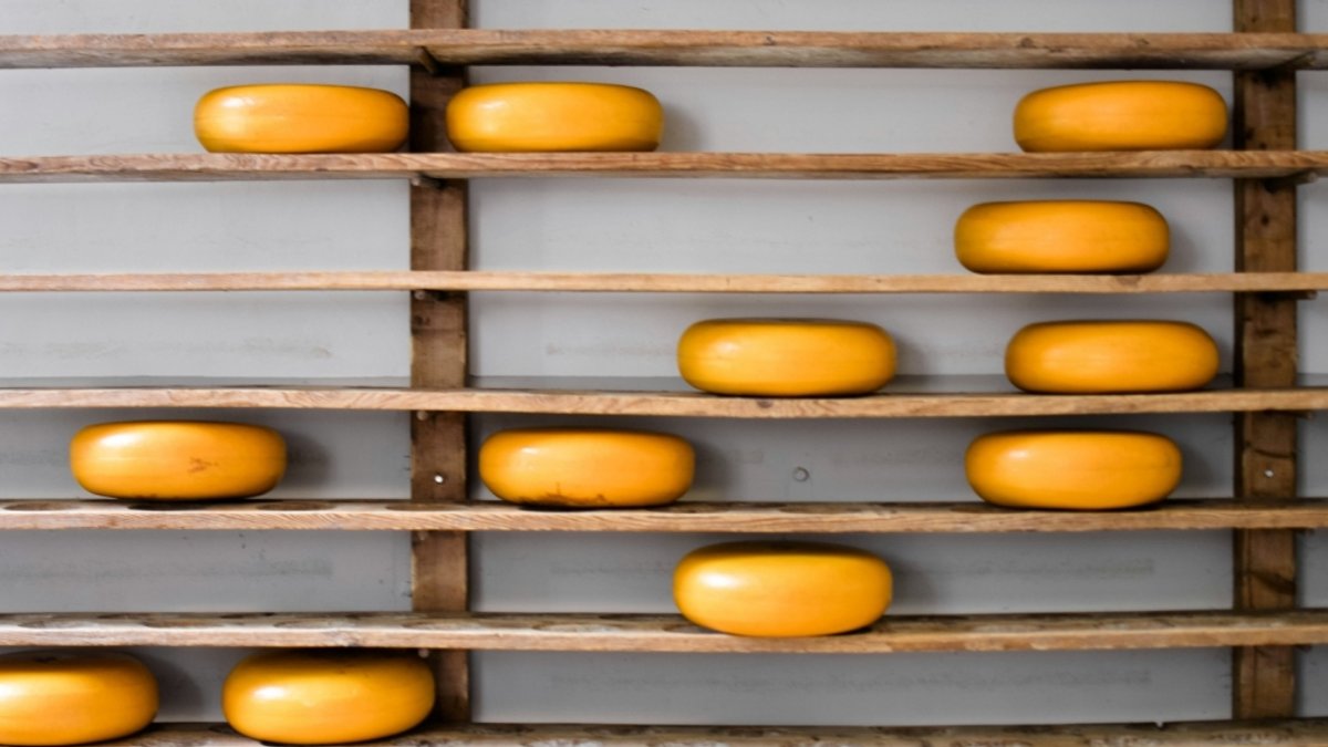 Bel Group expands Vietnam cheese plant to boost regional supply - vietnam cheese plant