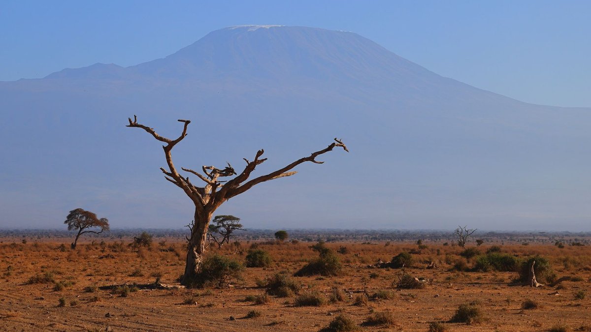 Kenya partners airlines to draw Middle East tourists Kenya partners airlines to draw Middle East tourists - kenya tourism