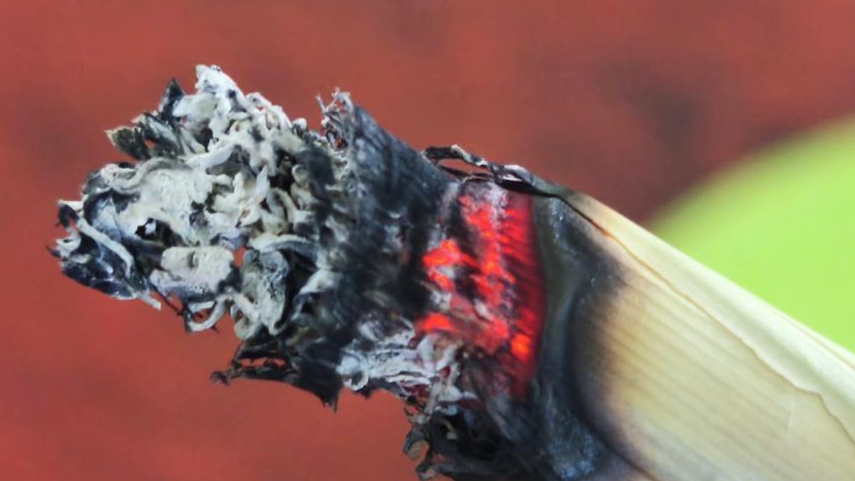 British shops lose billions to illicit tobacco sales British shops lose billions to illicit tobacco sales - illicit tobacco sales