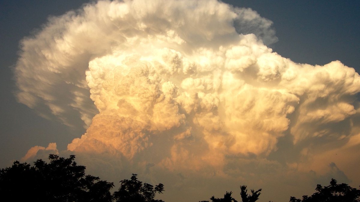 Startup Engineers Choose Platforms for Speed, Not Scale Stunning cumulonimbus cloud towering over silhouetted trees during a dramatic sunset sky.