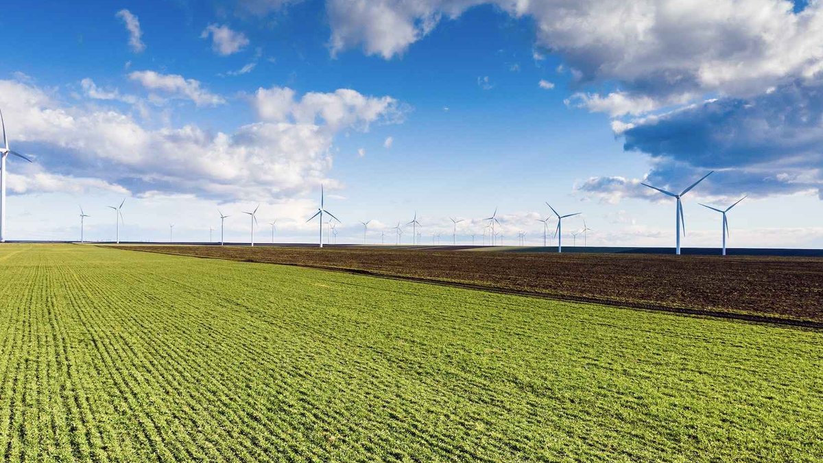 ILO trains Egyptian women for green jobs ILO trains Egyptian women for green jobs - green jobs egypt