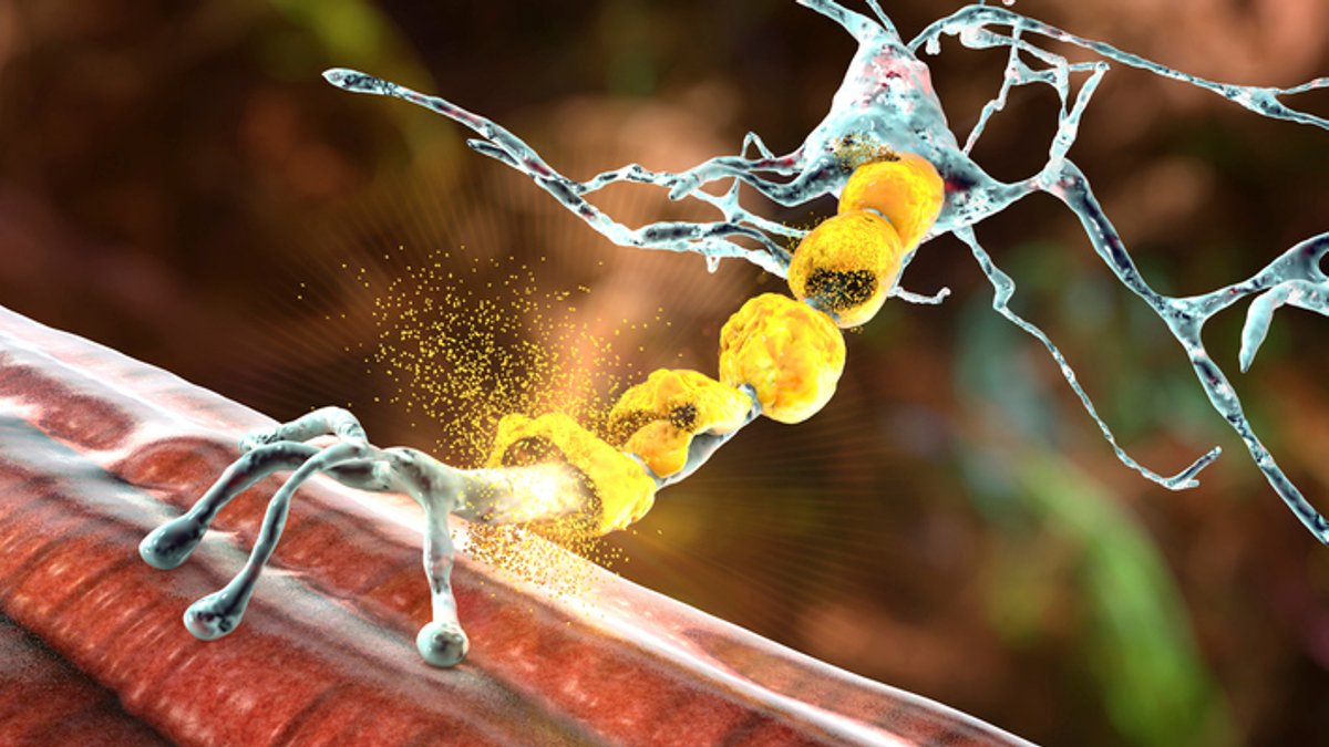 New drug may reverse MS damage
