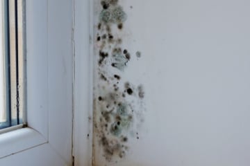 New landlord rules under Awaab’s Law take effect