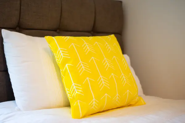 Next to The Liberty Stadium - Image 20