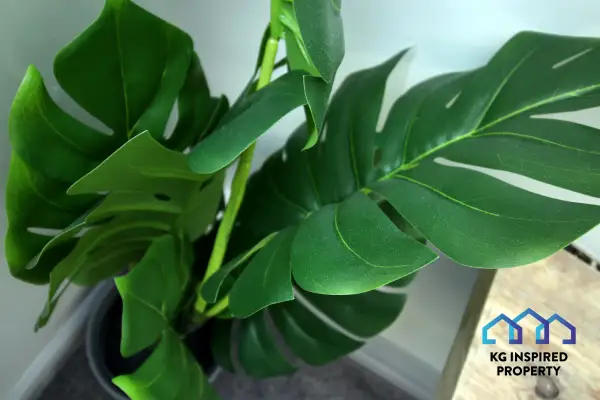 3 Beds • Parking • Near Morriston Hospital - Image 39