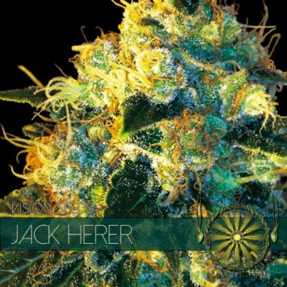 Featured Image of Jack Herer