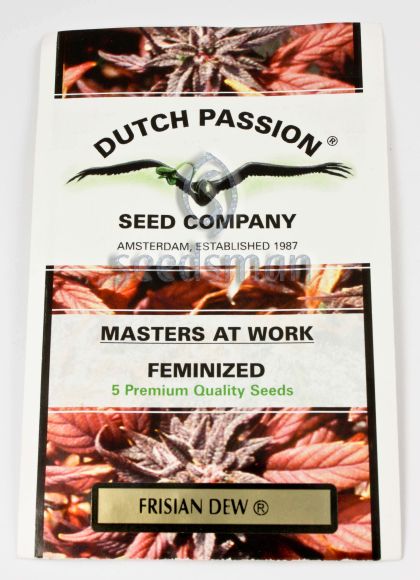 Featured Image of Frisian Dew