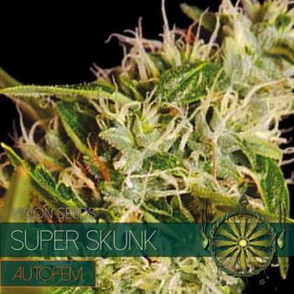 Featured Image of Super Skunk Auto
