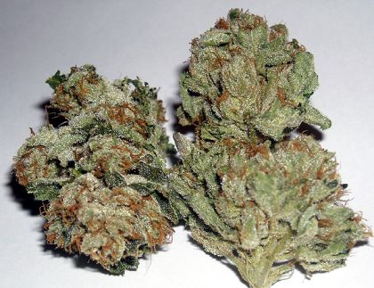 Featured Image of Rug Burn Og