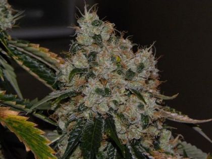 Featured Image of Chem 91
