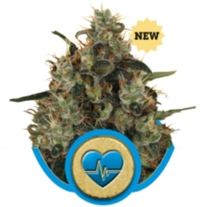 Featured Image of Medical Mass